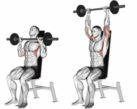 Desenvolvimento Militar